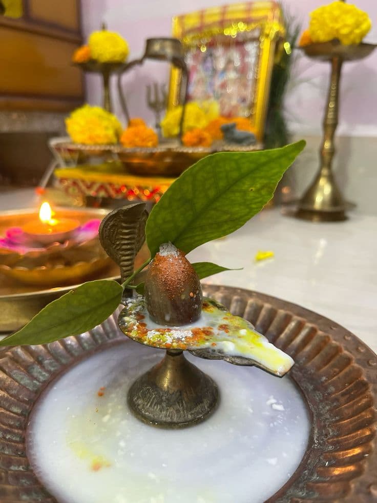 Rudrabhishek