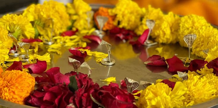 Kaal Sarp Dosh Pooja